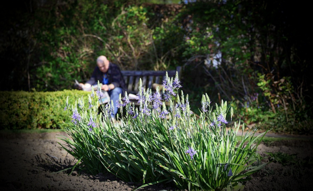 Guy Reading Paper In Botanics