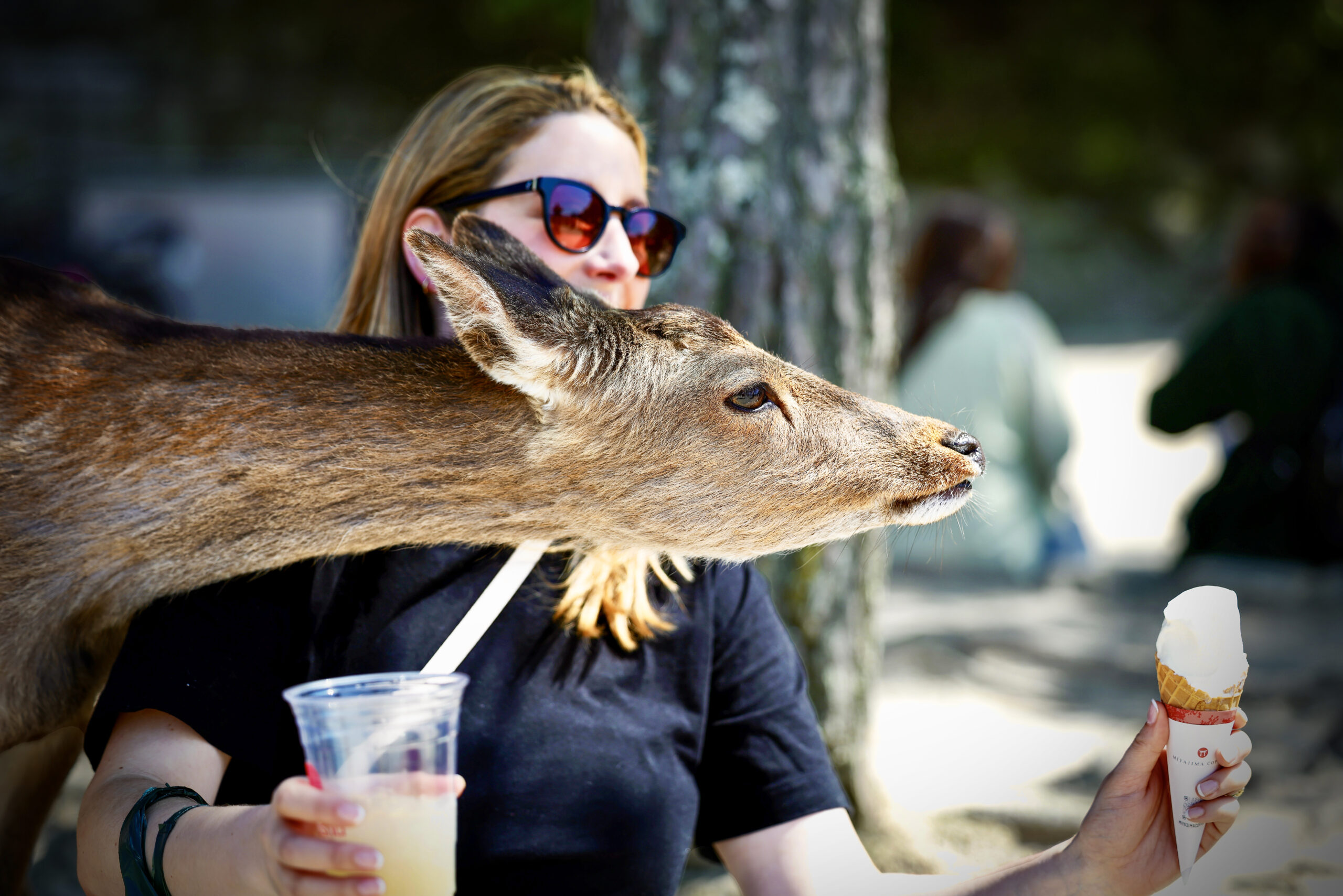 Katie And Deer Miyajima